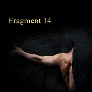 Fragment 14